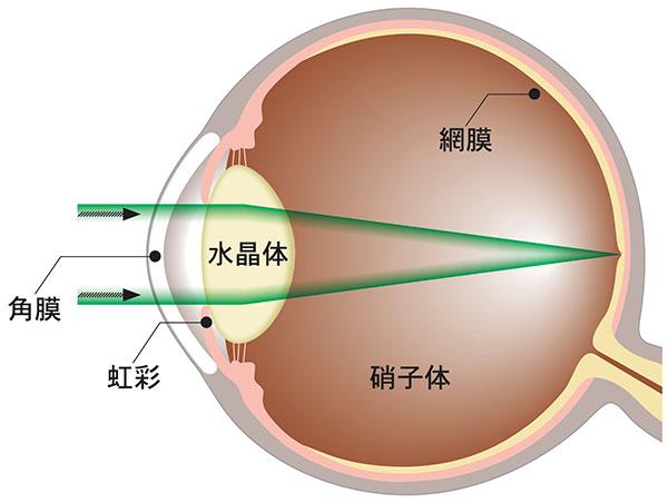 イメージ：正常な眼